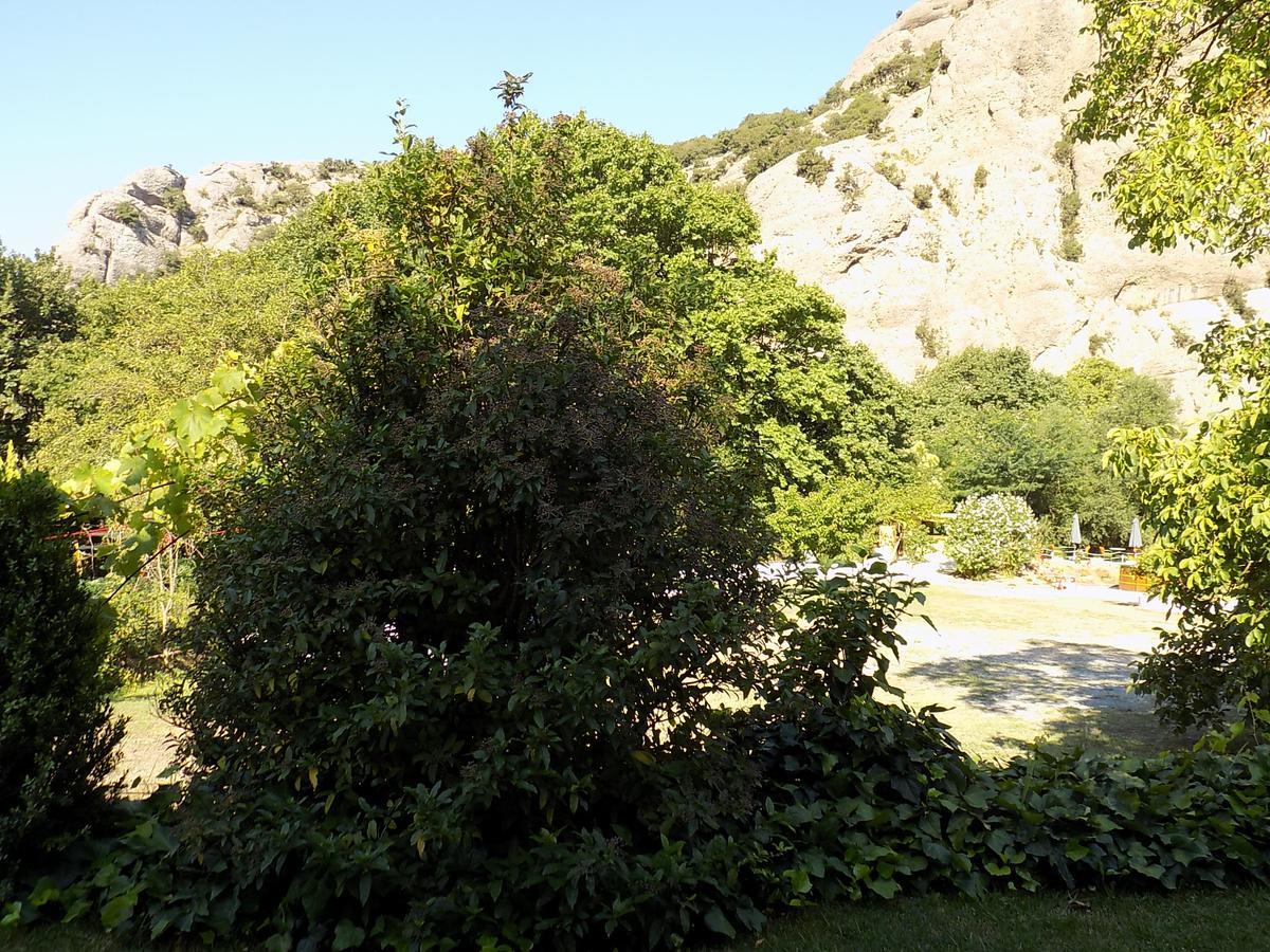 Guesthouse Eleftherios Kalavryta Exterior photo